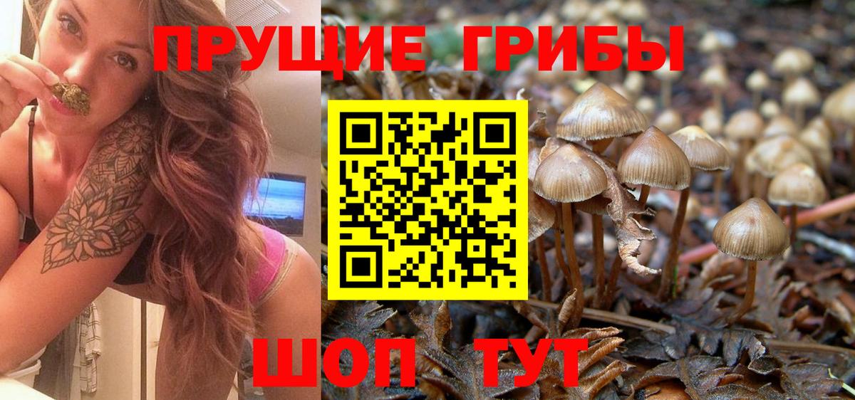 Псилоцибиновые грибы мицелий  где купить наркоту  Сердобск  Вход с VPN 