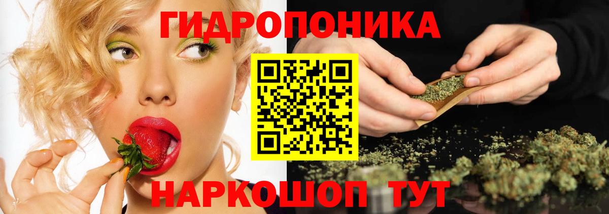 Бошки марихуана конопля Сердобск